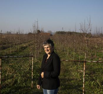 Photo of Milja Jevtic, a fruit farmer in Milosevo village, who is a user of Public Library 'Radislav Nikčević's' AgroLib-Ja service for farmers. Photo of Milja Jevtic, a fruit farmer in Milosevo village, who is a user of Public Library 'Radislav Nikčević's' AgroLib-Ja service for farmers.